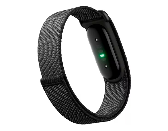 Questo prodotto si adatta a Fitbit Air